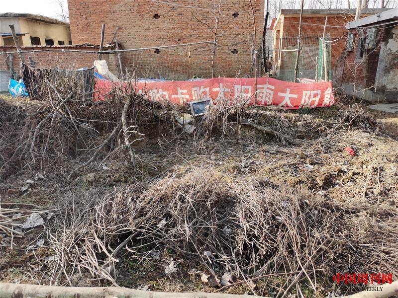 1這就是祝慶藩墓所在地.jpg