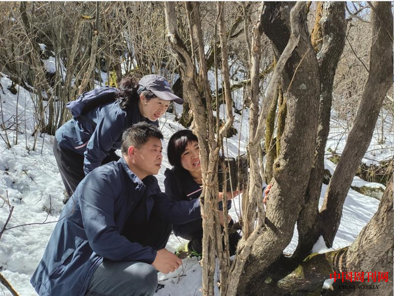 微信截圖_20220926160039.png
