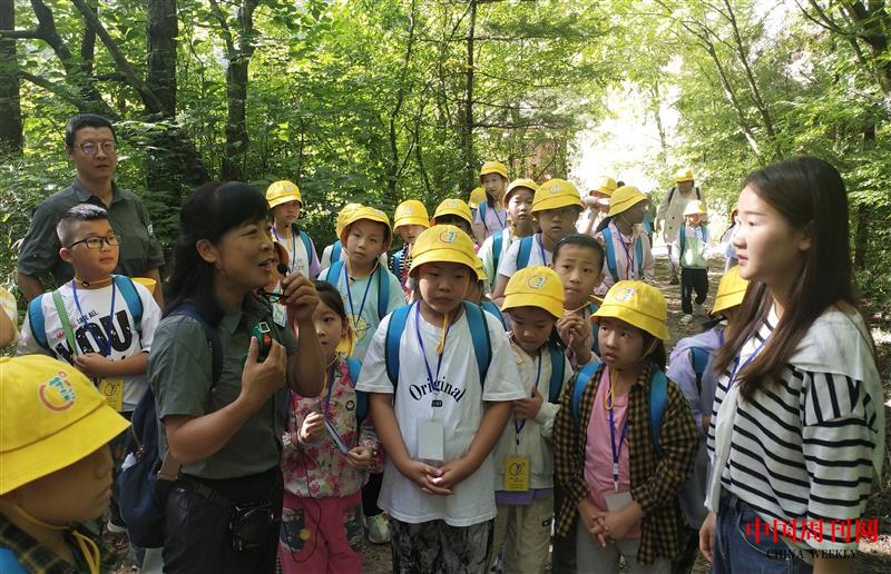 北溝自然體驗(yàn)基地開展自然讓教育活動(dòng)馬宇拍攝.jpg
