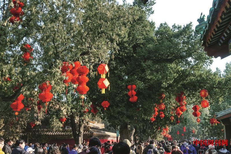 攝圖網(wǎng)_501038555_北京地壇廟會（企業(yè)商用）.jpg