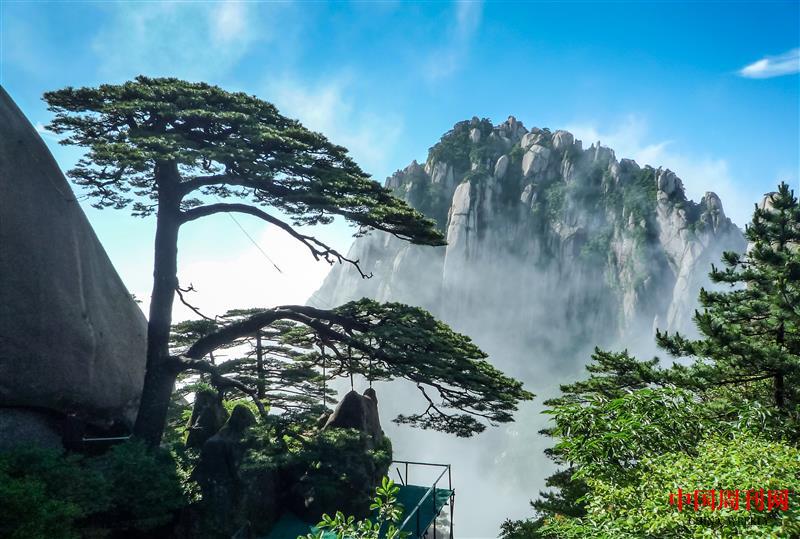 攝圖網(wǎng)_500691100_黃山迎客松(企業(yè)商用).jpg