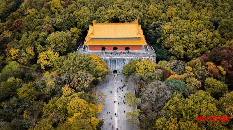 攝圖網(wǎng)_500744754_航拍南京明孝陵秋色(企業(yè)商用).jpg